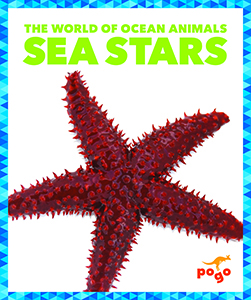Cover Art for Sea Stars