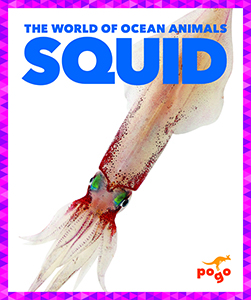Cover Art for Squid
