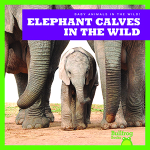 Cover Art for Elephant Calves in the Wild