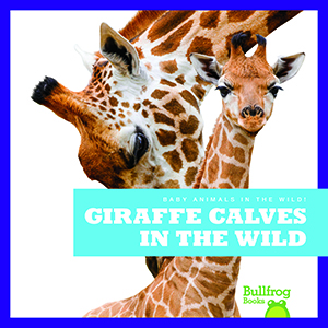 Cover Art for Giraffe Calves in the Wild