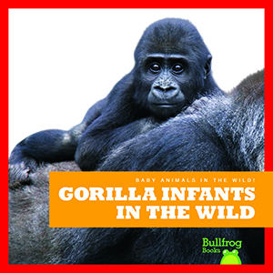 Cover Art for Gorilla Infants in the Wild
