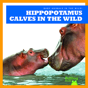 Cover Art for Hippopotamus Calves in the Wild