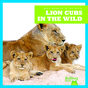Cover Art for Lion Cubs in the Wild