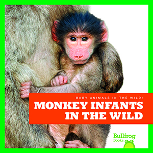 Cover Art for Monkey Infants in the Wild