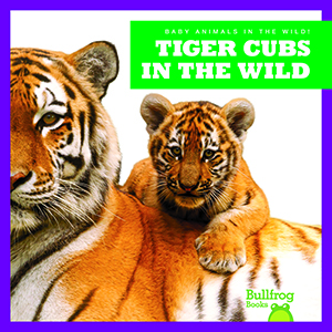 Cover Art for Tiger Cubs in the Wild