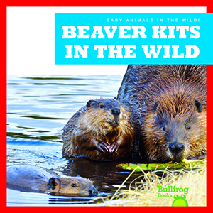 Cover Art for Beaver Kits in the Wild