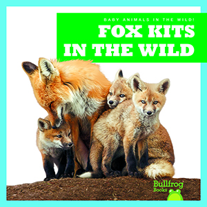 Cover Art for Fox Kits in the Wild