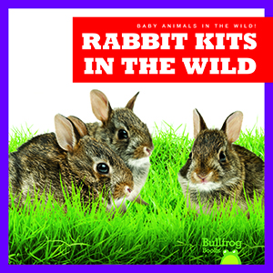 Cover Art for Rabbit Kits in the Wild