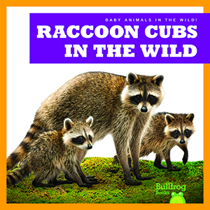 Cover Art for Raccoon Cubs in the Wild
