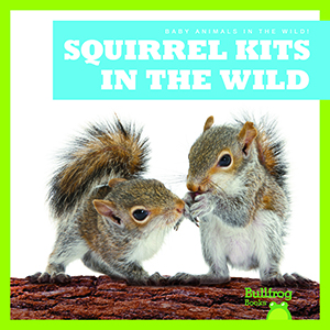 Cover Art for Squirrel Kits in the Wild
