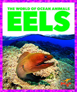 Cover Art for Eels