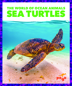Cover Art for Sea Turtles