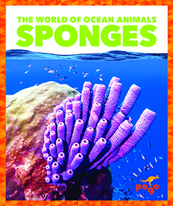 Cover Art for Sponges