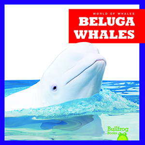 Cover Art for Beluga Whales