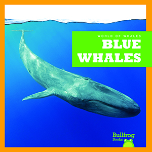 Cover Art for Blue Whales