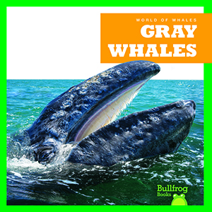 Cover Art for Gray Whales