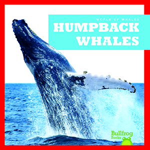 Cover Art for Humpback Whales