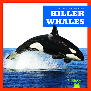 Cover Art for Killer Whales