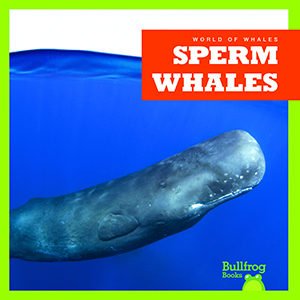 Cover Art for Sperm Whales