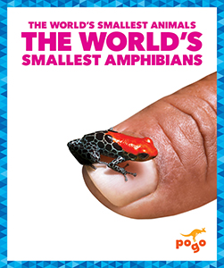 Cover Art for The World's Smallest Amphibians