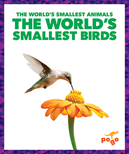 Cover Art for The World's Smallest Birds