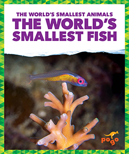 Cover Art for The World's Smallest Fish