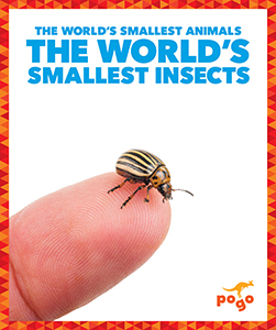 Cover Art for The World's Smallest Insects