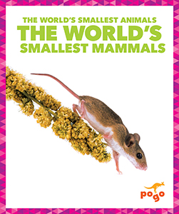 Cover Art for The World's Smallest Mammals
