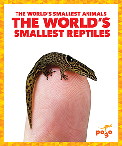 Cover Art for The World's Smallest Reptiles