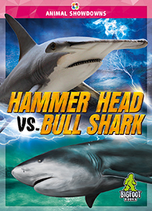 Cover Art for Hammerhead vs. Bull Shark
