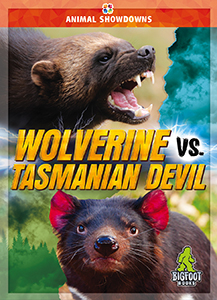 Cover Art for Wolverine vs. Tasmanian Devil