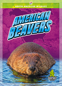 Cover Art for American Beavers