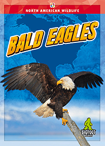 Cover Art for Bald Eagles