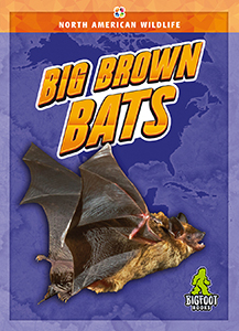 Cover Art for Big Brown Bats