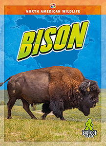 Cover Art for Bison