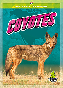Cover Art for Coyotes
