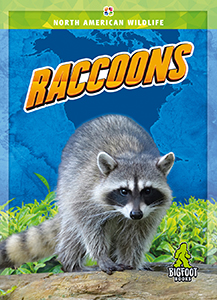 Cover Art for Raccoons