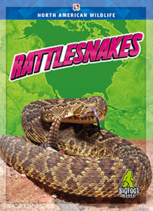 Cover Art for Rattlesnakes