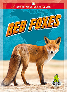 Cover Art for Red Foxes