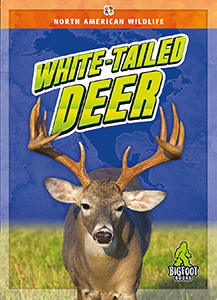 Cover Art for White-Tailed Deer