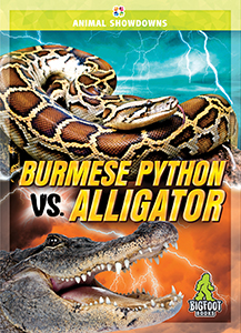 Cover Art for Burmese Python vs. Alligator