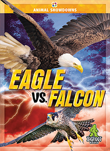 Cover Art for Eagle vs. Falcon