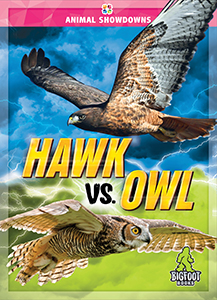 Cover Art for Hawk vs. Owl