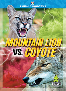 Cover Art for Mountain Lion vs. Coyote
