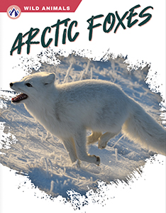 Cover Art for Arctic Foxes