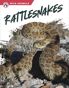 Cover Art for Rattlesnakes