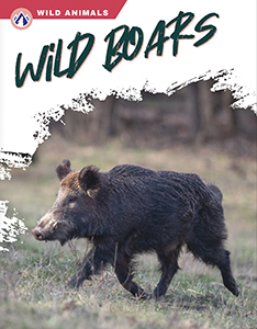 Cover Art for Wild Boars