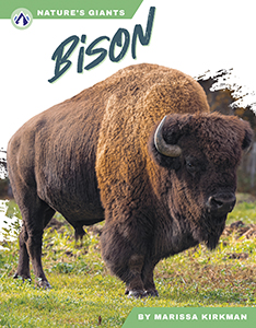 Cover Art for Bison