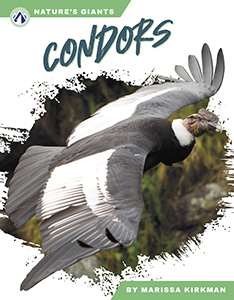 Cover Art for Condors