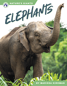 Cover Art for Elephants